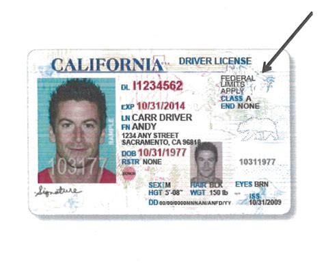 Limited term Drivers License (California) : r/DMV .